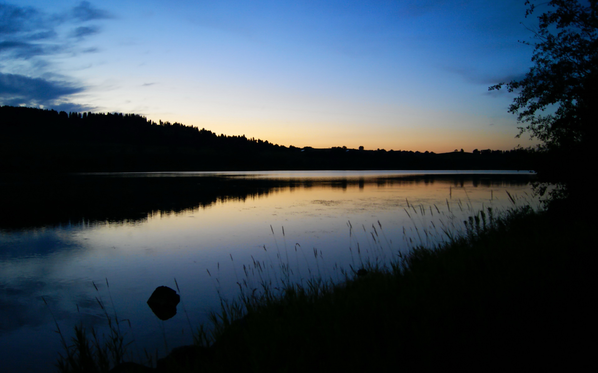 卡塞米罗全场最佳无争议，中国击溃里昂展国足新篇